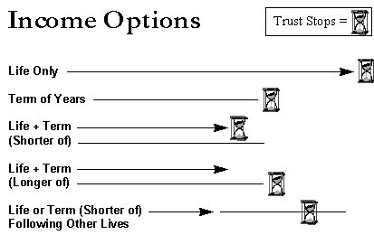 Chart: Income Options